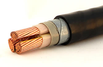 額定電壓1kV和3kV交聯聚乙烯絕緣（阻燃）電力電纜1.jpg